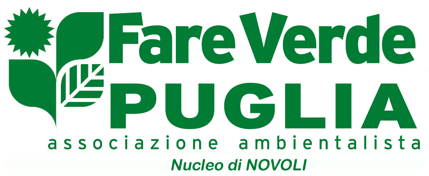 logo FV Puglia Novoli
